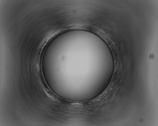 X0000100330050200806191118