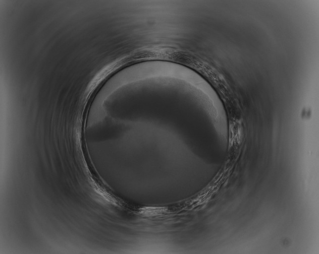 X0000100330051200806191118