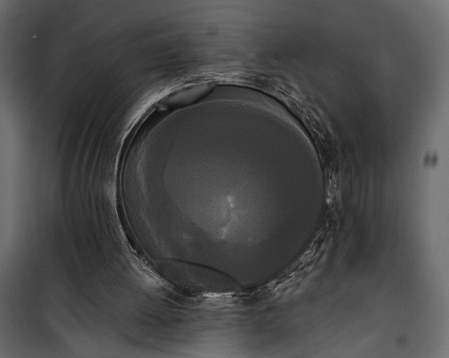 X0000100330052200806191118