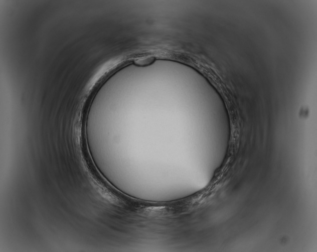 X0000100330054200806191118