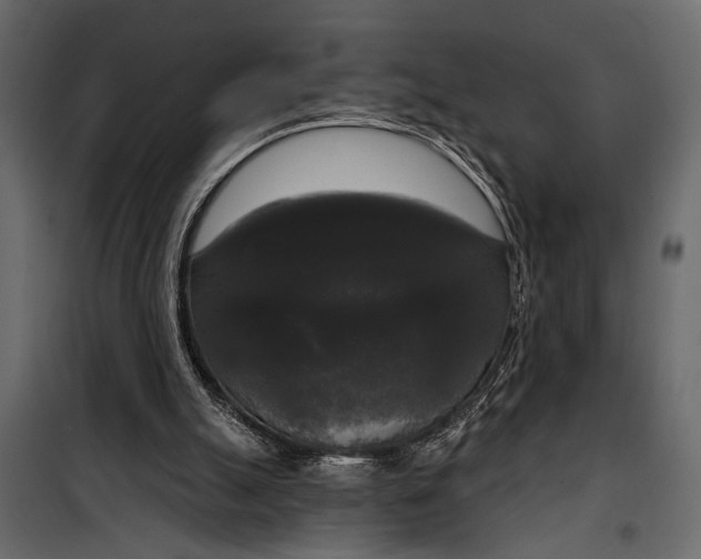 X0000100330055200806191118