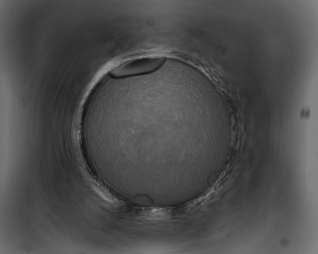 X0000100330056200806191118