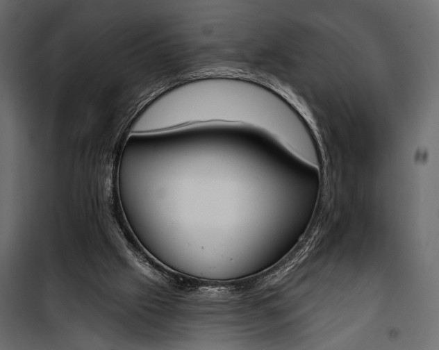 X0000100330057200806191118