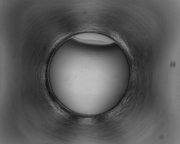 X0000100330058200806191118