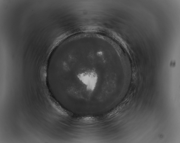 X0000100330059200806191118