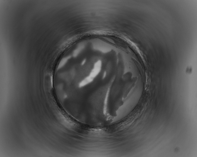 X0000100330061200806191118