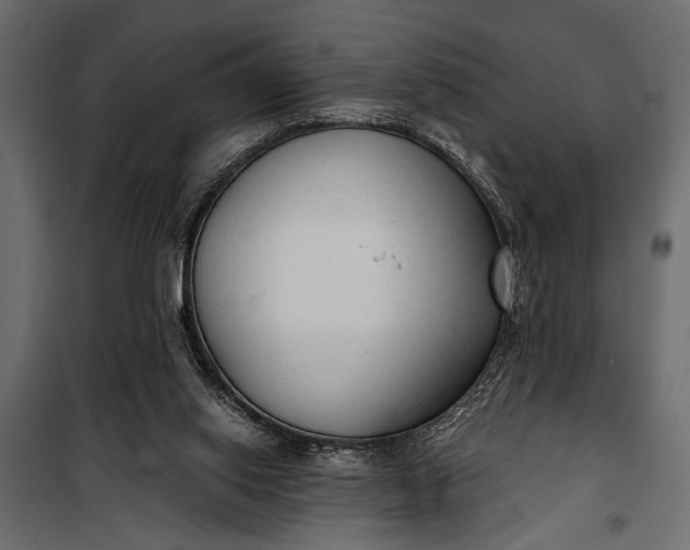 X0000100330062200806191118