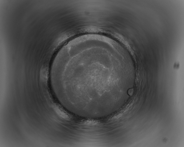 X0000100330063200806191118