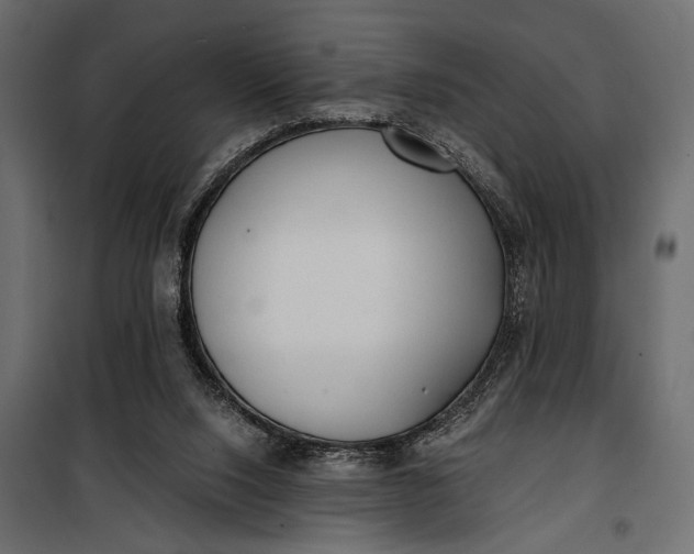 X0000100330064200806191118