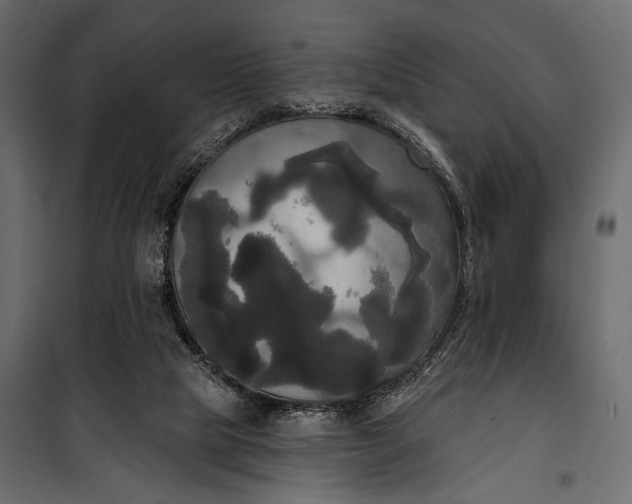 X0000100330065200806191118