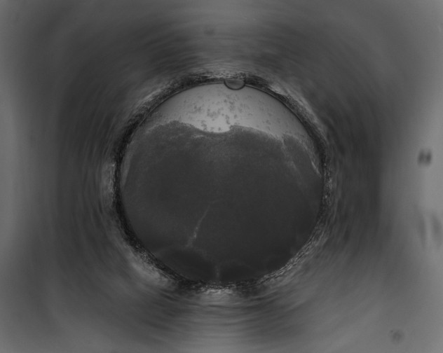 X0000100330066200806191118