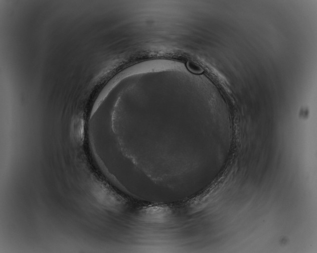 X0000100330067200806191118