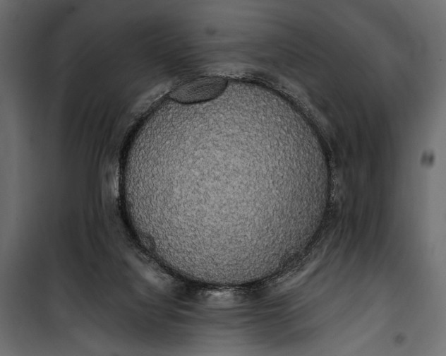 X0000100330068200806191118