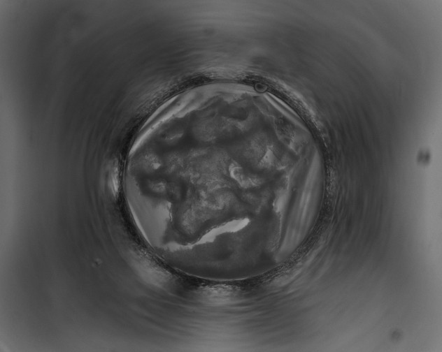 X0000100330069200806191118