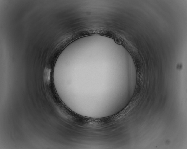 X0000100330070200806191118