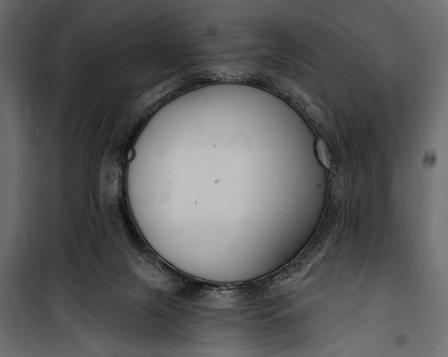 X0000100330071200806191118