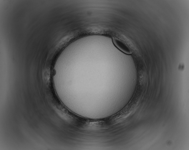 X0000100330072200806191118