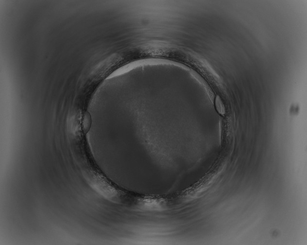 X0000100330073200806191118