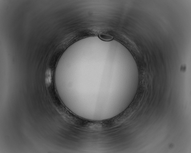 X0000100330075200806191118