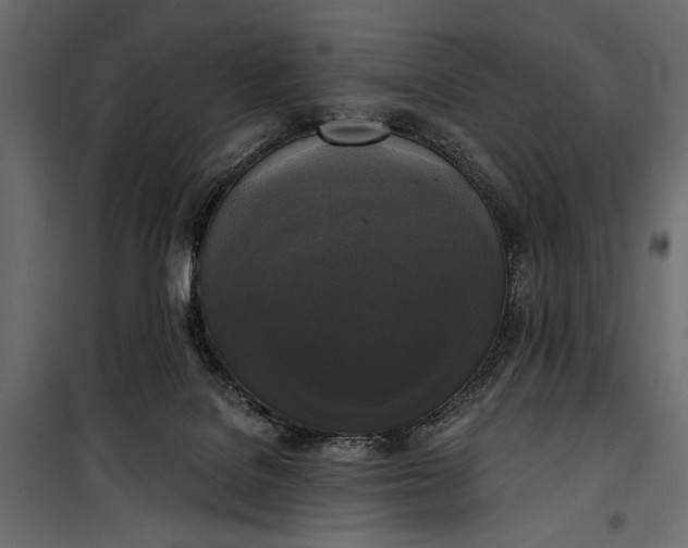 X0000100330076200806191118