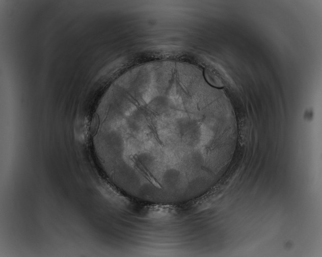 X0000100330077200806191118