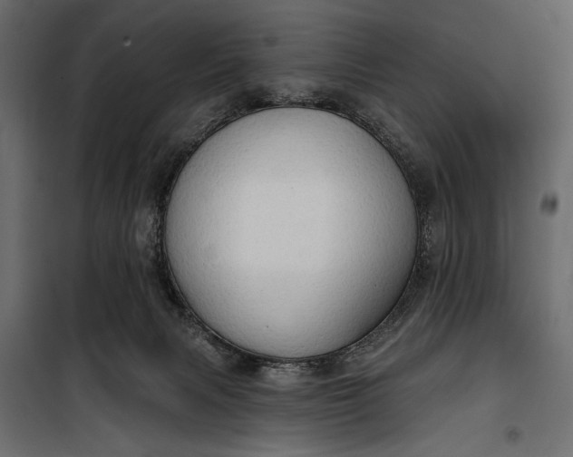 X0000100330079200806191118