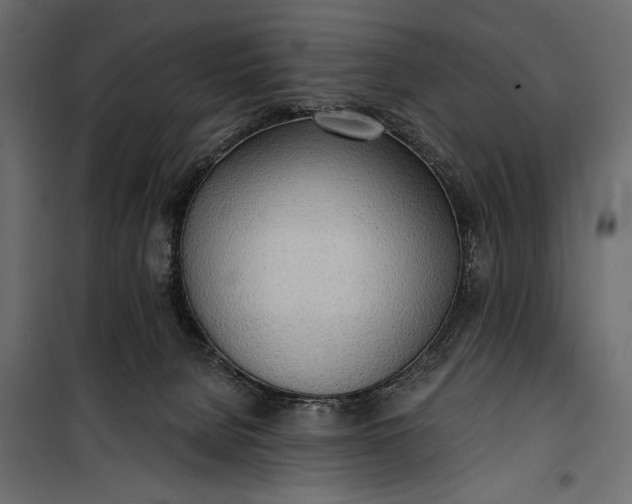 X0000100330080200806191118