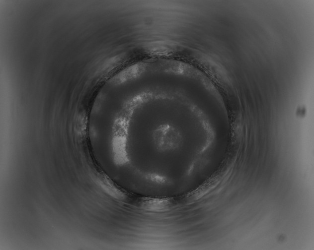 X0000100330081200806191118