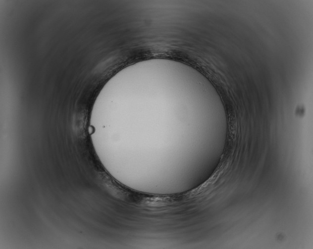 X0000100330082200806191118