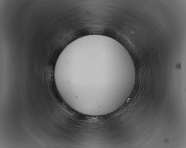 X0000100330083200806191118