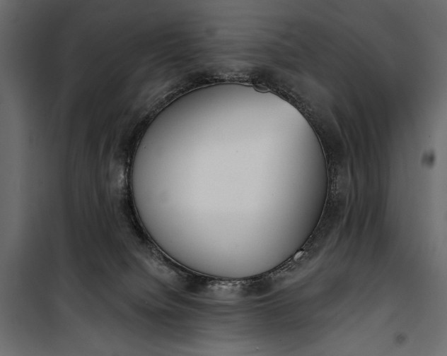 X0000100330084200806191118