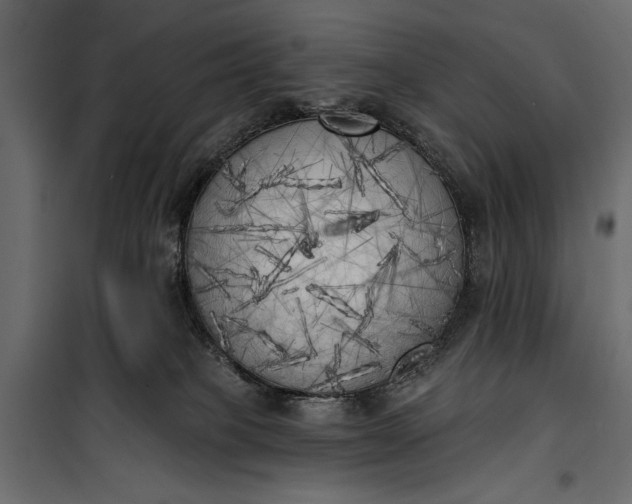 X0000100330085200806191118