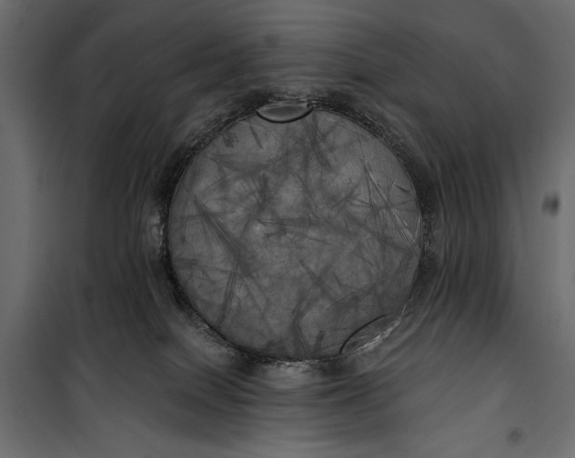 X0000100330086200806191118