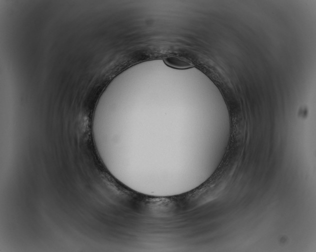 X0000100330087200806191118