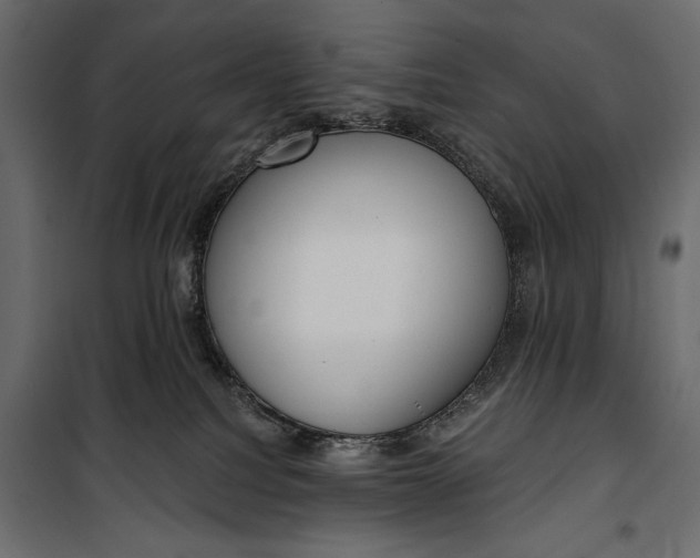 X0000100330088200806191118