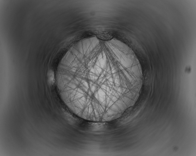 X0000100330089200806191118