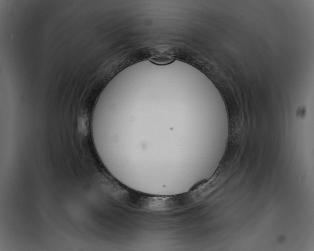 X0000100330090200806191118