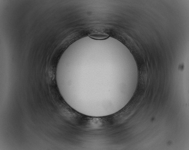 X0000100330091200806191118