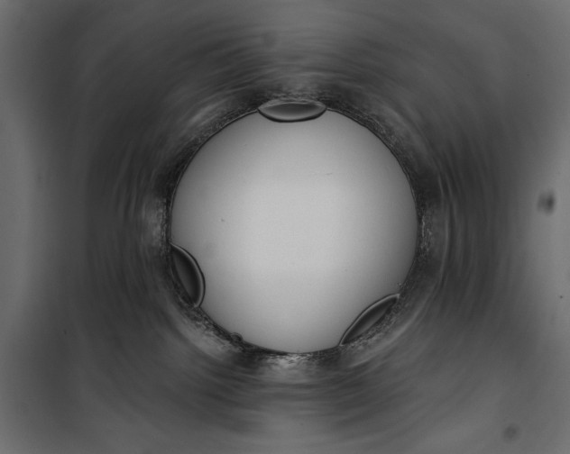 X0000100330092200806191118