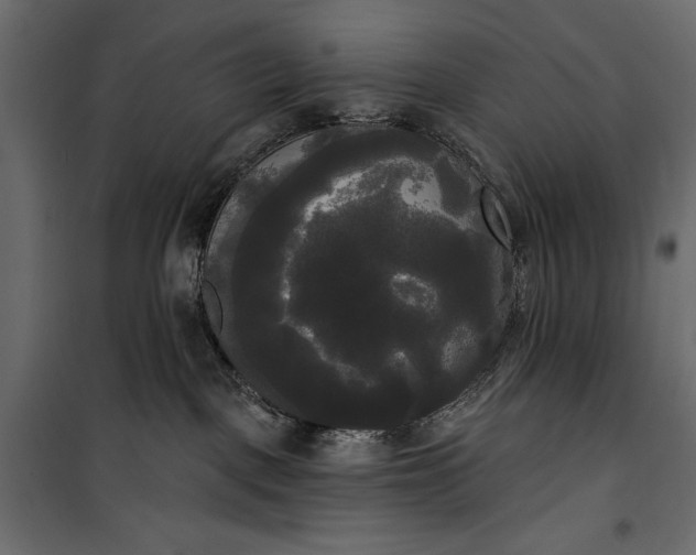 X0000100330093200806191118