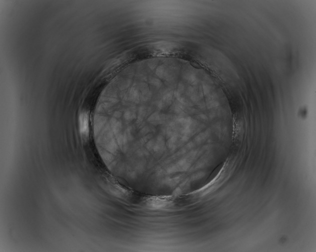 X0000100330094200806191118