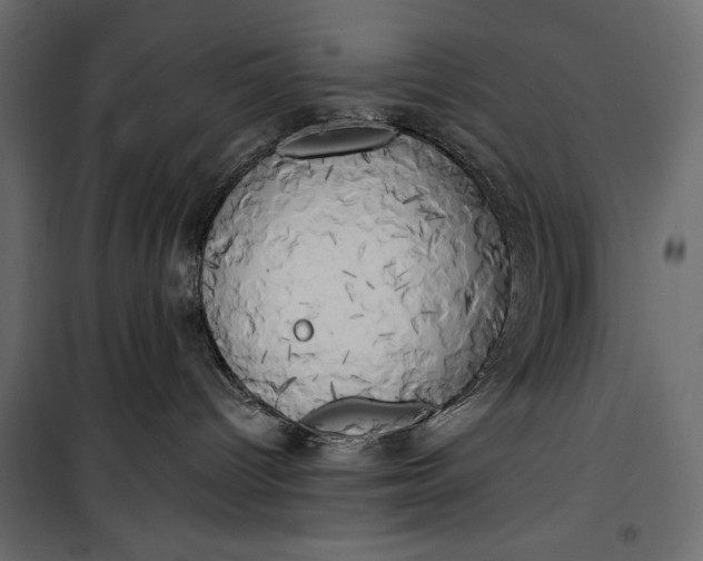 X0000100330096200806191118