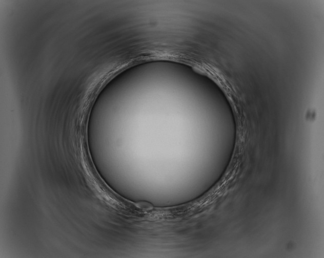 X0000100330097200806191118