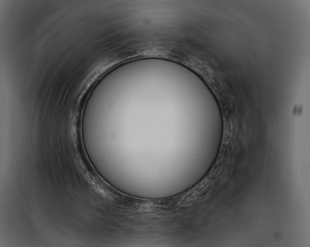 X0000100330098200806191118