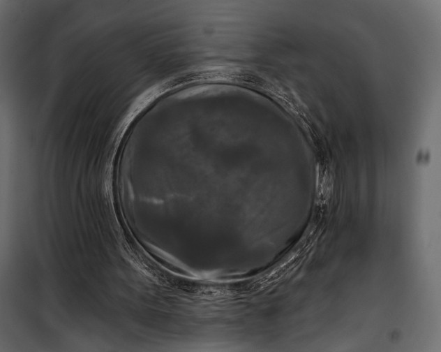 X0000100330099200806191118