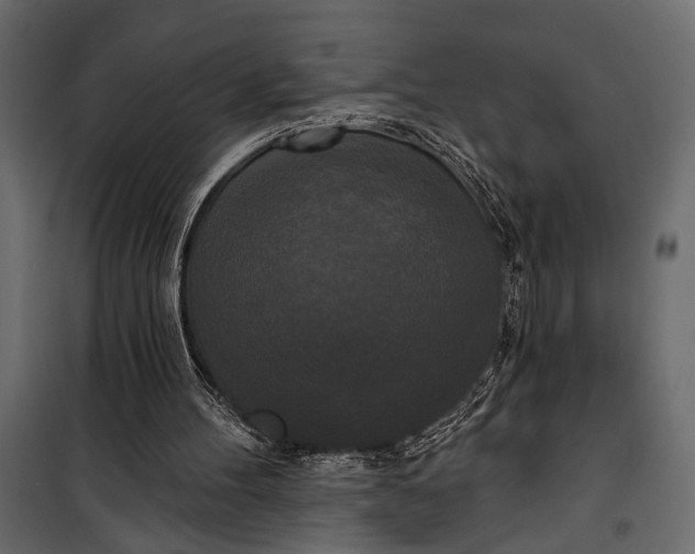 X0000100330100200806191118