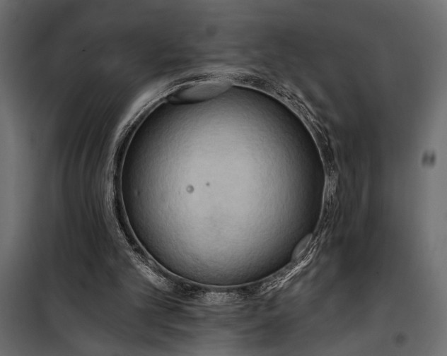 X0000100330101200806191118