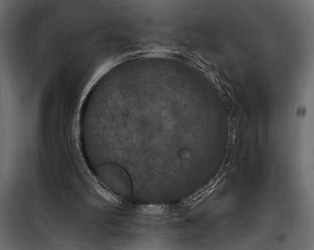 X0000100330102200806191118