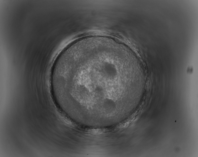 X0000100330103200806191118