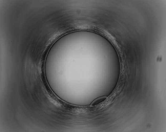 X0000100330106200806191118